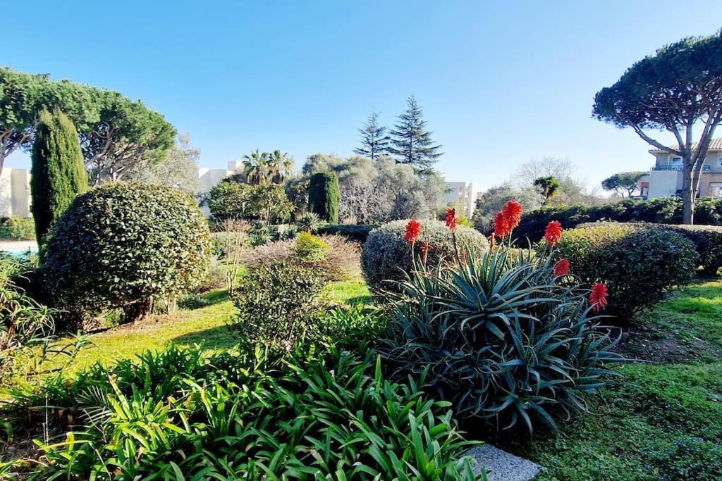 Studio Antibes Avec Piscine Exterior photo